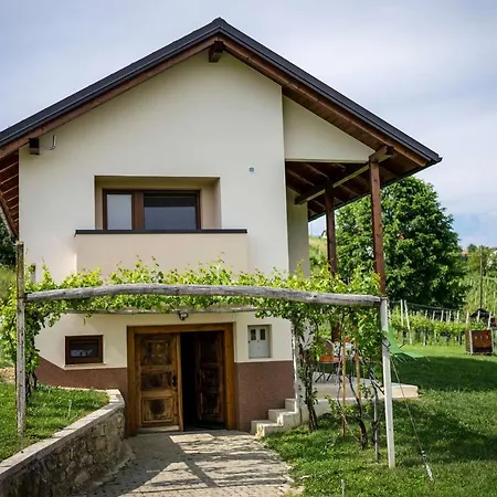 Holiday House Zlacka Gorca Pristava pri Mestinju Exterior foto
