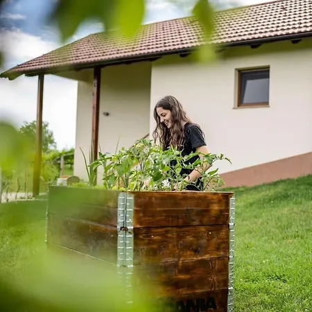 Holiday House Zlacka Gorca Pristava pri Mestinju Exterior foto